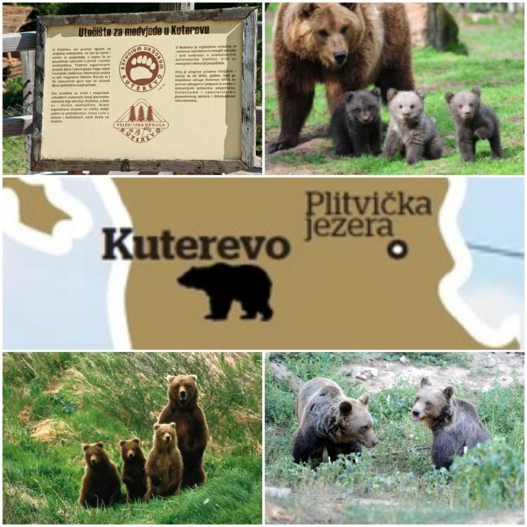 Apartman Black River Plitvička Jezera エクステリア 写真